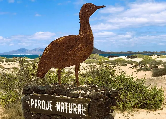 Oasis Duna Iii By Sea There Fuerteventura * コラレホ